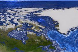 2025/08/Ice-melt-ocean-life.jpg