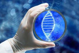 2025/08/Egg-cells-aging.jpg