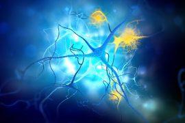 2025/08/lithium-Alzheimers.jpg