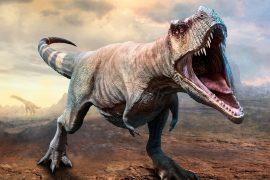 2025/08/Dinosaur-skulls-.jpg