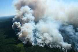 2025/08/Wildfire-smoke-ozone.jpg