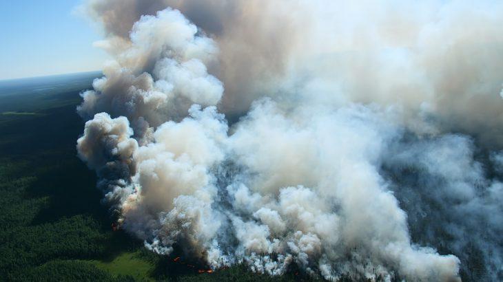 2025/08/Wildfire-smoke-ozone.jpg