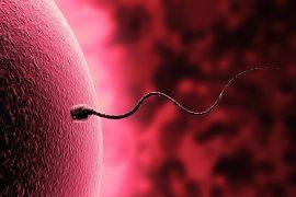 2025/08/sperm-swimming-breaks-newtonian-law.jpg