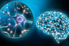 Human,Brain,Neuronal,Stimulation,Or,Activity,With,The,Close-up,Of
