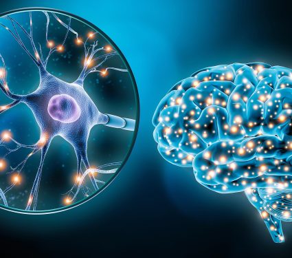 Human,Brain,Neuronal,Stimulation,Or,Activity,With,The,Close-up,Of