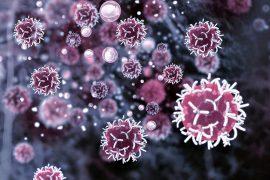 2025/08/Nanomaterial-cancer.jpg