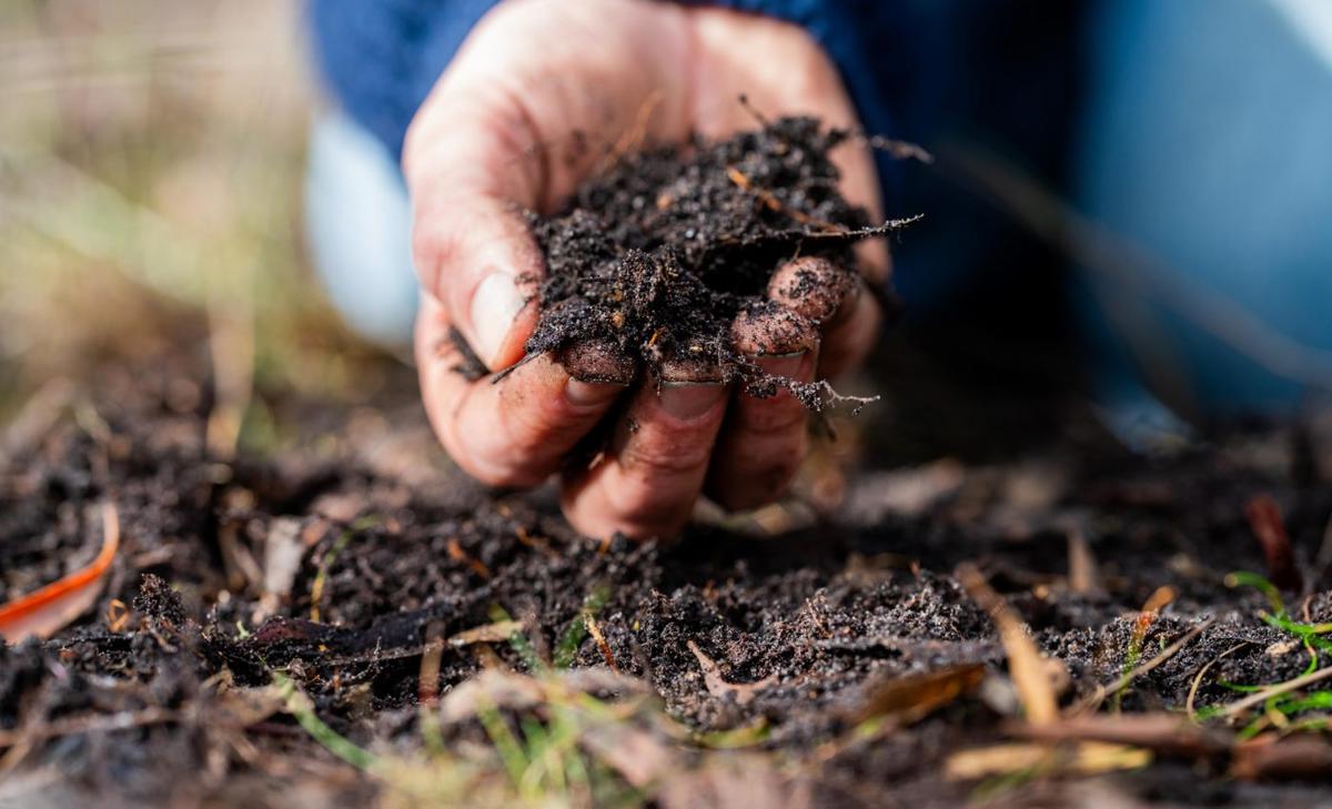 Organic matter helps soil hold water - even in conditions like Mars
