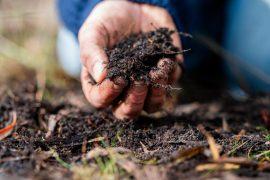 2025/08/soil-water.jpg