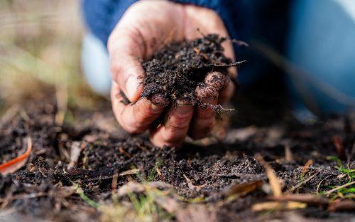2025/08/soil-water.jpg