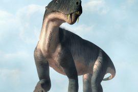 2025/08/Fossils-extinction2.jpg