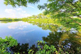 2025/08/Lake-edges-carbon.jpg