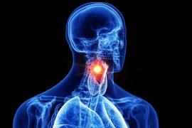 2025/08/larynx_voice-box-cancer_ai-diagnosis_1m.jpg