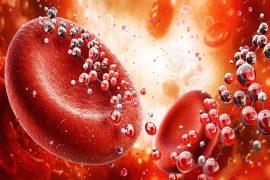Erythrocyte,3d,Illustration.,Red,Blood,Cells,Transport,Oxygen,Throughout,The