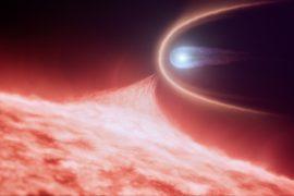 2025/08/WD-0525526.jpg