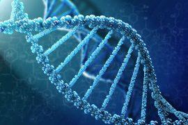 2025/08/genome-map.jpg