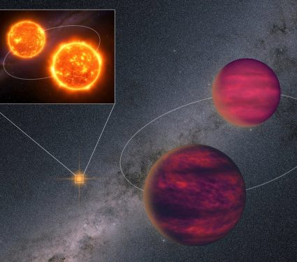 2025/08/Brown-dwarfs.jpeg