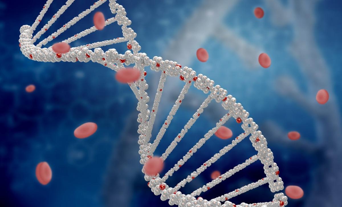 DNA from our extinct cousins helped the first Americans survive