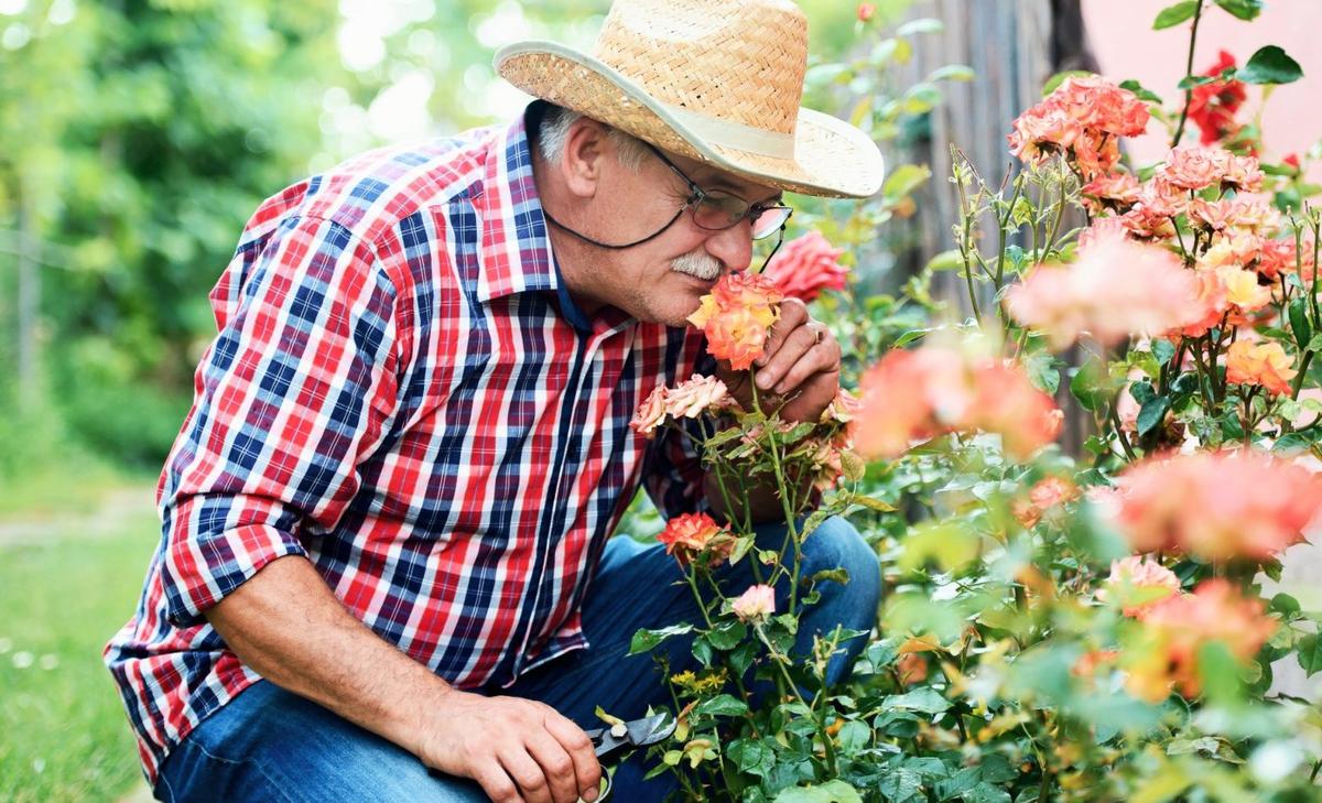 Radio waves can boost our sense of smell without contact