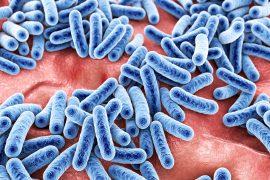 Bacteria,,Human,Microbiome,,Normal,Microflora,Of,Human,Body,,3d,Illustration