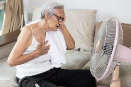 2025/08/older-adults-heat.jpg