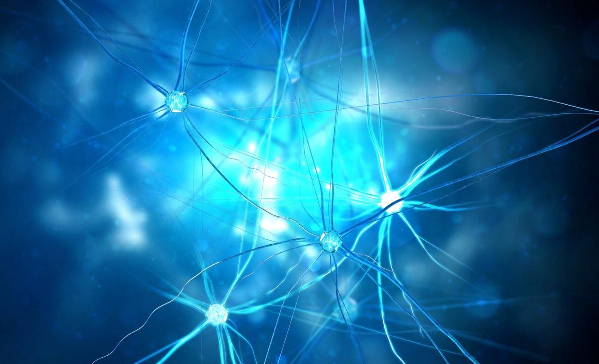 How blood sugar stays steady overnight: Hidden network revealed