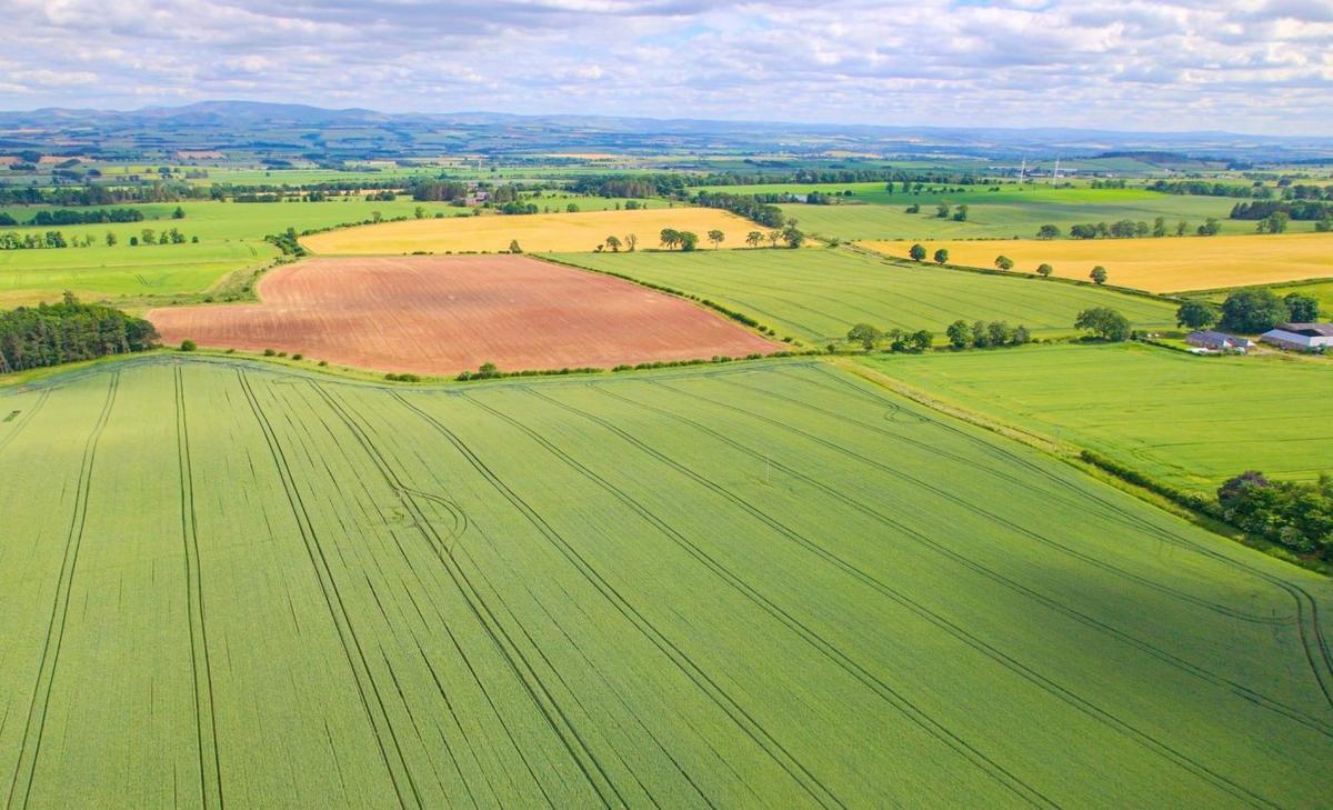 Ancient DNA shows what really spread the farming revolution