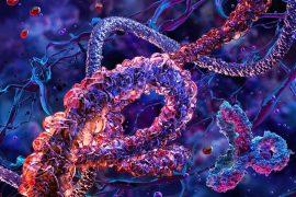 2025/08/earth-proteins.jpg
