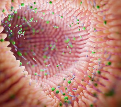 2025/08/Gut-bacteria-1.jpg