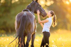 2025/08/Horse-DNA.jpg