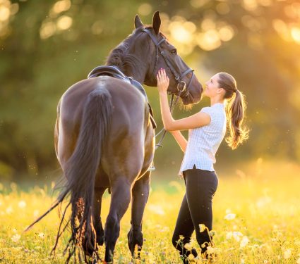 2025/08/Horse-DNA.jpg