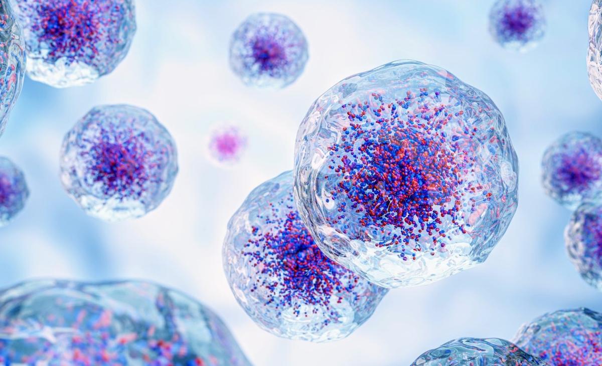 Cells ‘vomit’ waste to speed up healing in our body