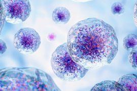 2025/08/Cells-heal-injury.jpg