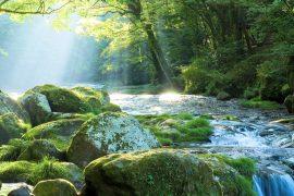 2025/09/Global-greening-water.jpg