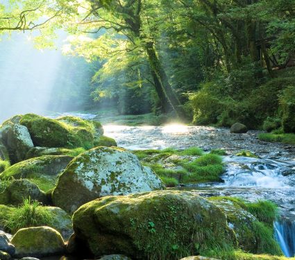 2025/09/Global-greening-water.jpg