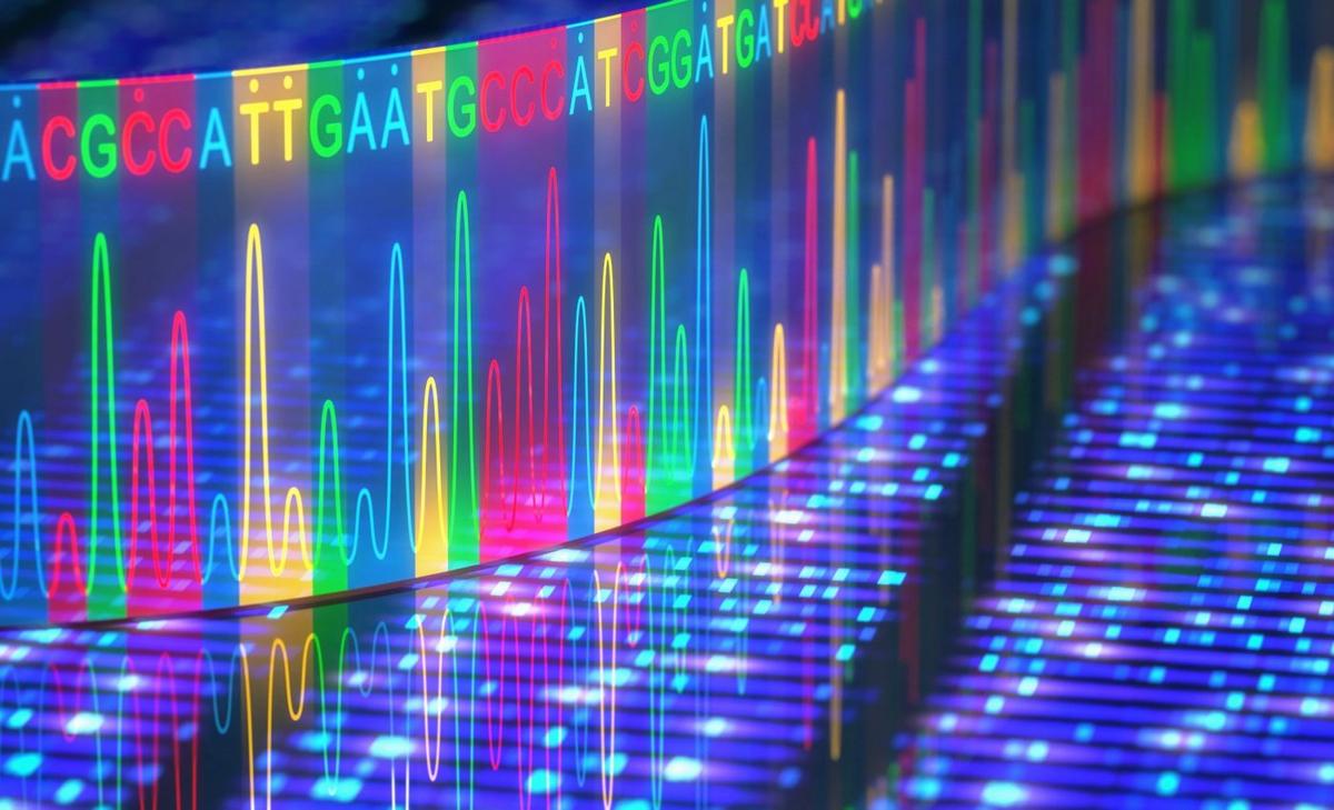 Our DNA holds the hidden history of human language
