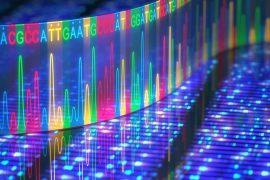 2025/09/DNA-language-.jpg