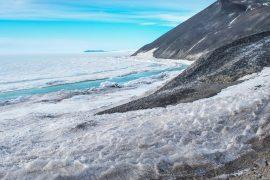 2025/09/Antarctic-algae2.jpg