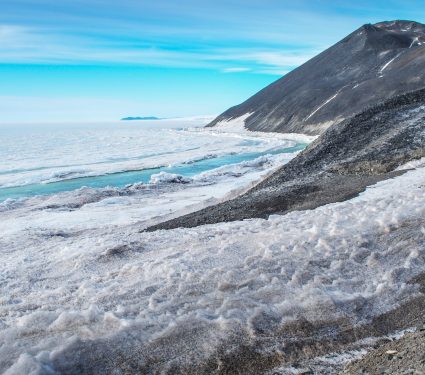2025/09/Antarctic-algae2.jpg