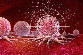 2025/09/Cancer-freeze-molecules.jpg