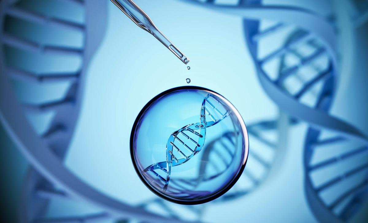 Slowing down aging, one DNA strand at a time