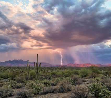 2025/09/Desert-soil-emissions.jpg