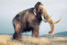 2025/09/Mammoth-microbes.jpg