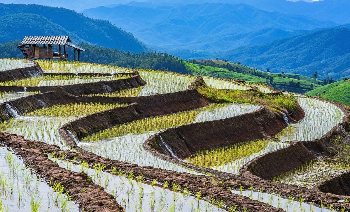 How North America boost Asia's monsoon season