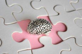 2025/09/lipid-clue-alzheimers-women.jpg