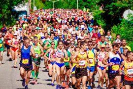 2025/09/marathon-running-brain-effects-study.jpg