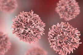 2025/09/cancer-tricks-immune-system-hormone.jpg