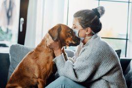 2025/09/Dog-behavior-pandemic.jpg