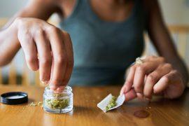 2025/09/Cannabis-fertility.jpg