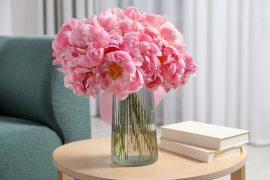 2025/09/Flowers-therapy.jpg