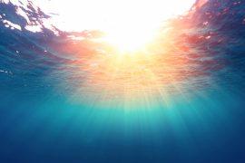 2025/09/Ocean-microbes-1.jpg